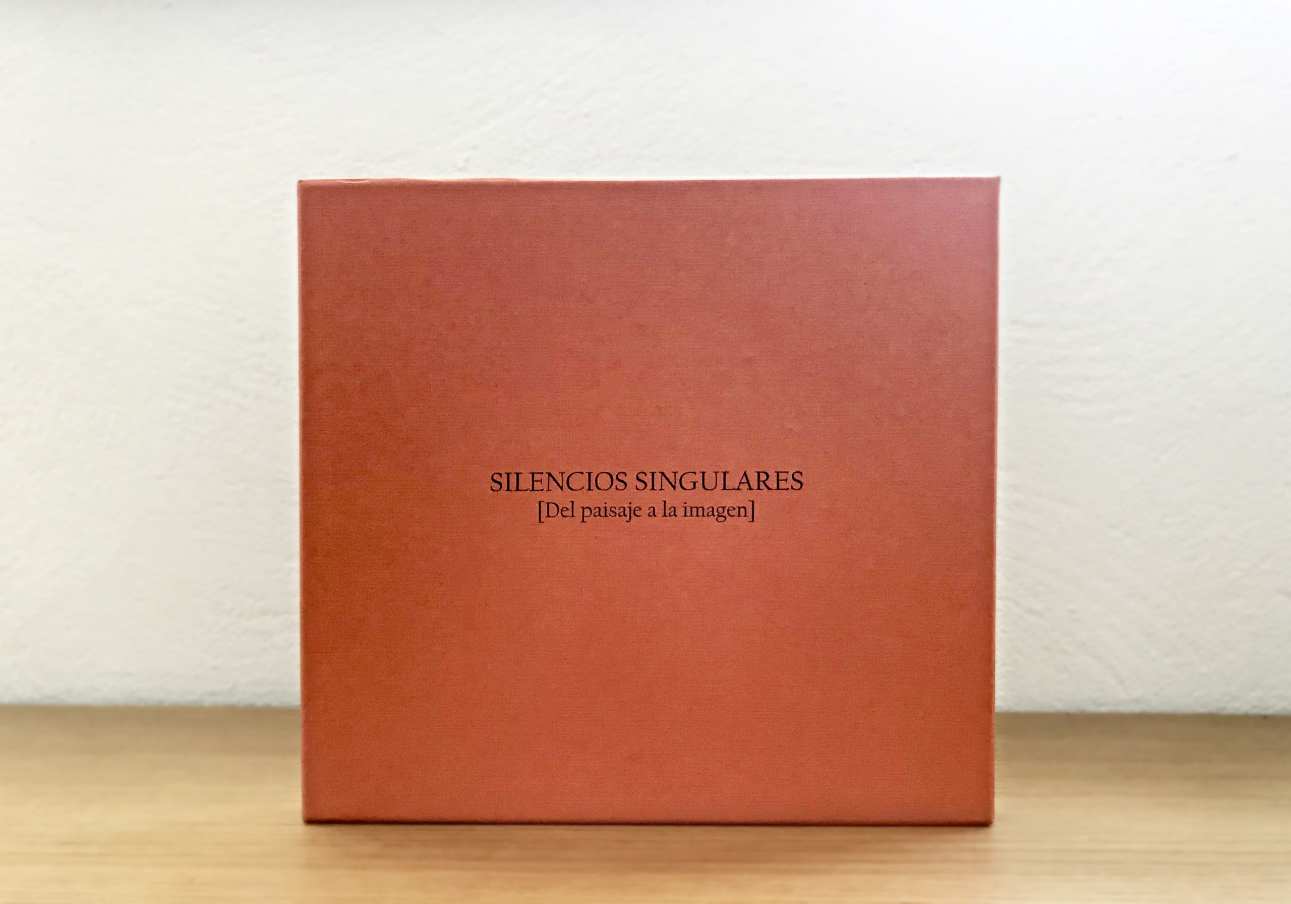 SILENCIOS SINGULARES. DEL PAISAJE A LA IMAGEN