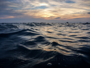 "Mi playa" , 2014 Cabo de Gata. 127 x 95 cm